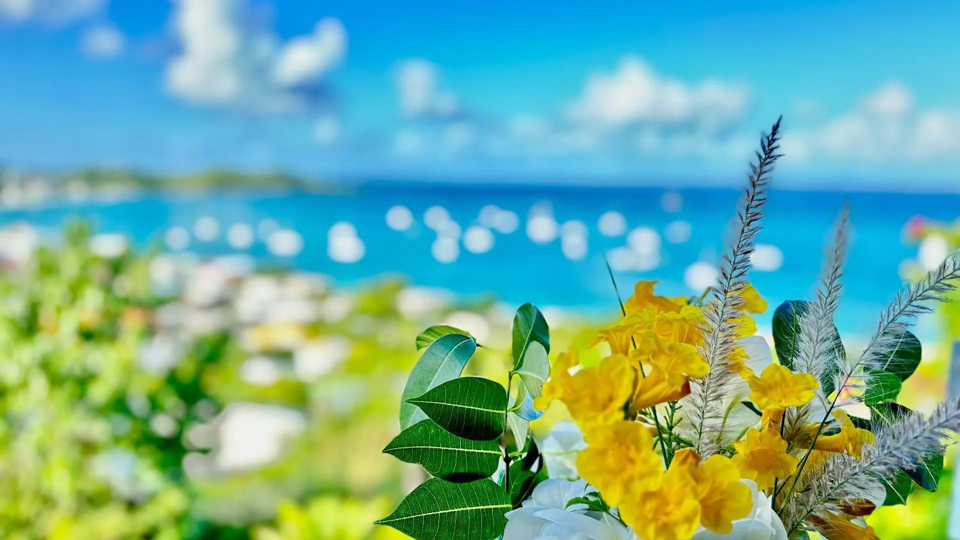 Studio Panoramic Grand Case Sint Maarten